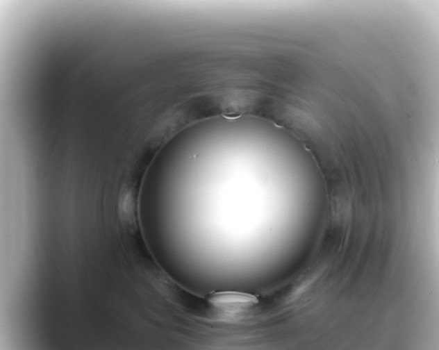 X0000089430575200706221213