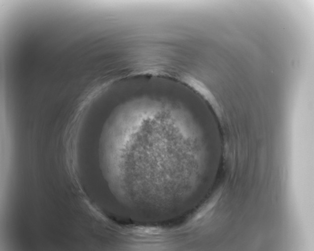 X0000089430577200706221213