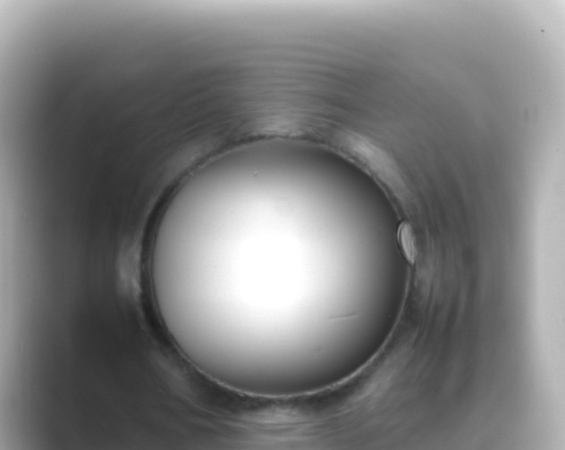 X0000089430578200706221213