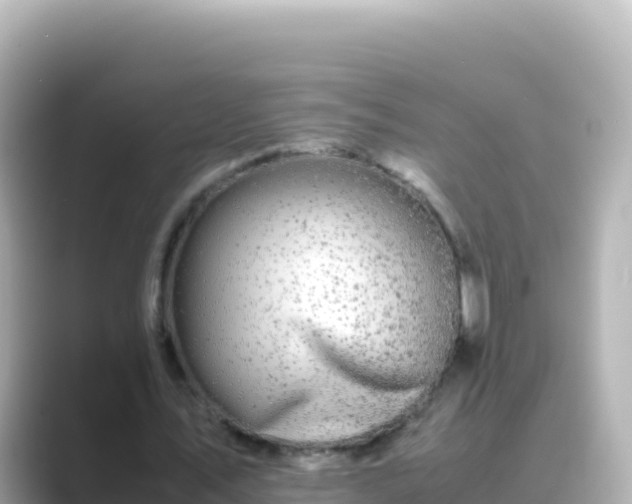 X0000089430579200706221213