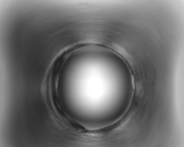 X0000089430580200706221213