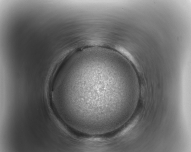 X0000089430581200706221213