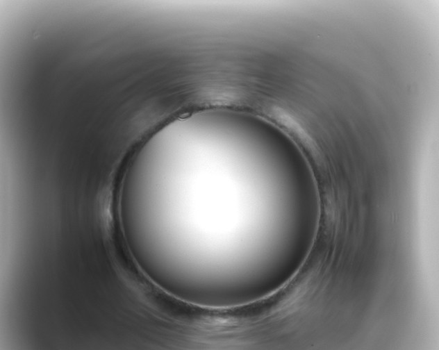 X0000089430582200706221213