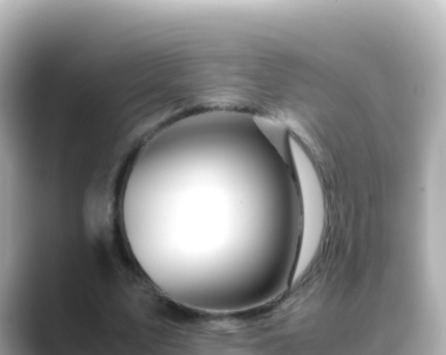 X0000089430583200706221213