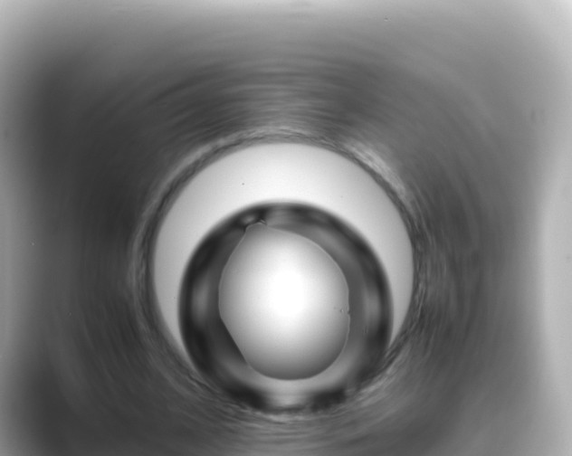 X0000089430584200706221213