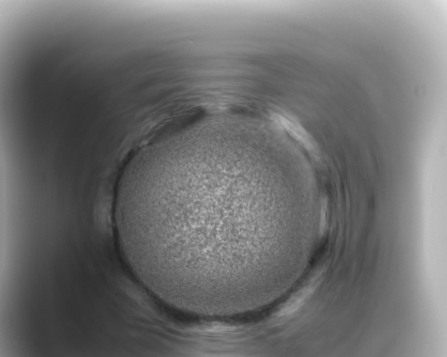 X0000089430585200706221213