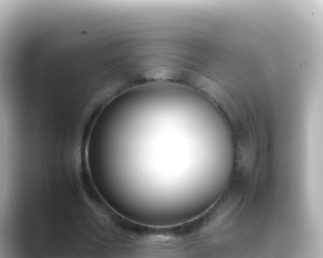 X0000089430586200706221213