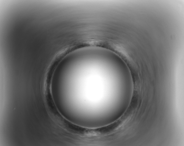X0000089430587200706221213