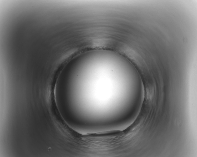 X0000089430588200706221213