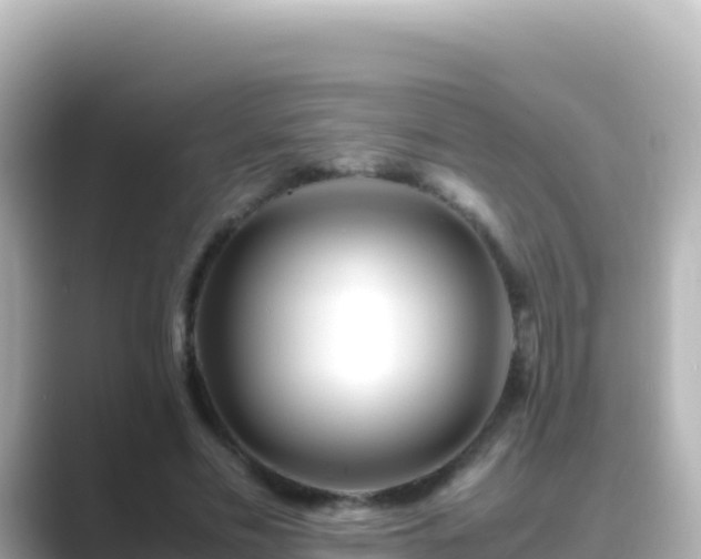 X0000089430589200706221213