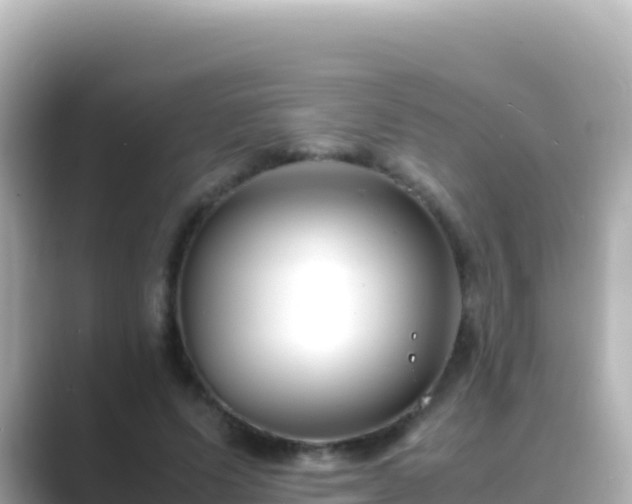 X0000089430591200706221212