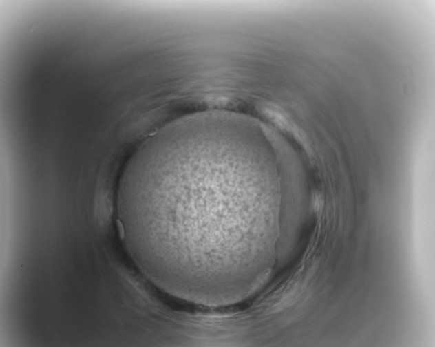 X0000089430593200706221212