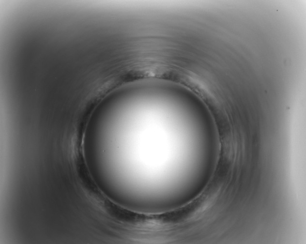 X0000089430594200706221212