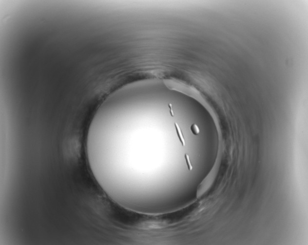 X0000089430595200706221212