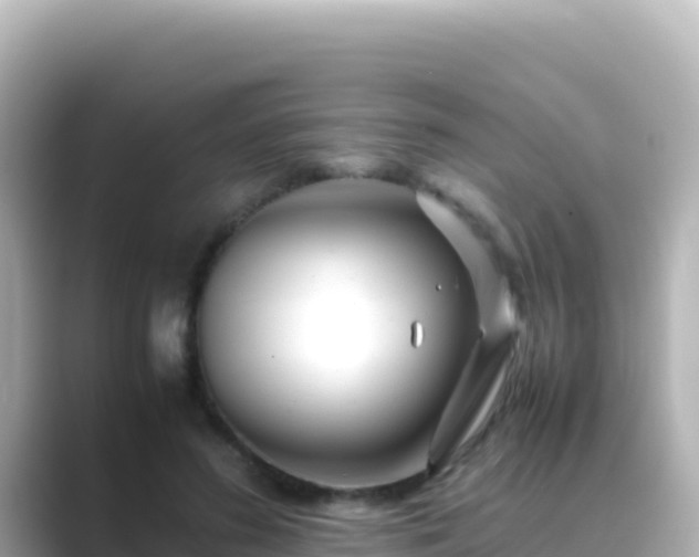 X0000089430596200706221212
