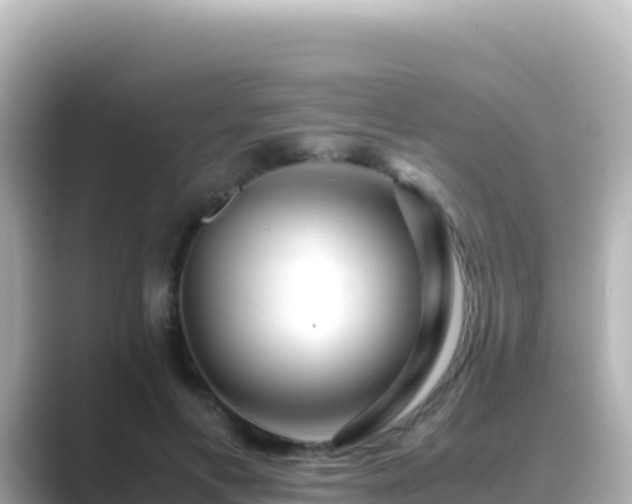 X0000089430597200706221212