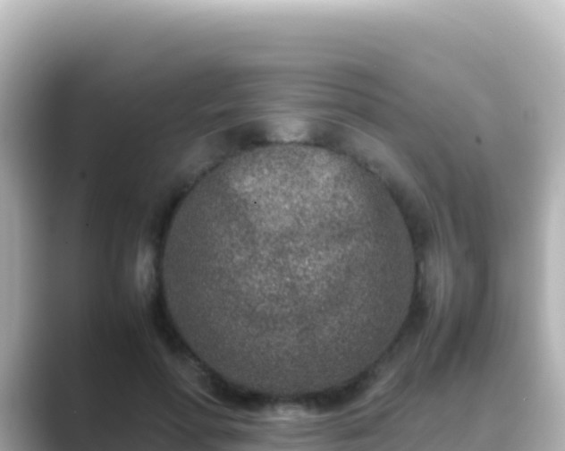X0000089430598200706221212