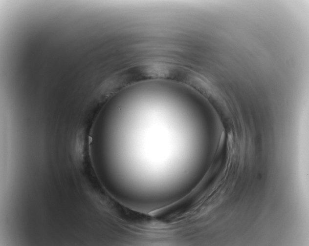 X0000089430600200706221212