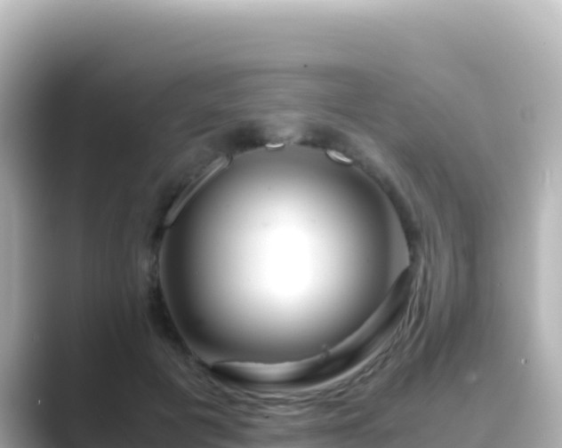 X0000089430601200706221212
