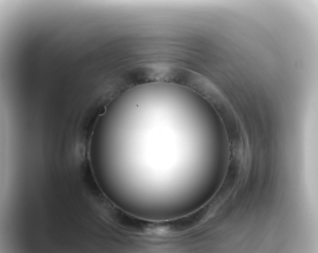 X0000089430602200706221212