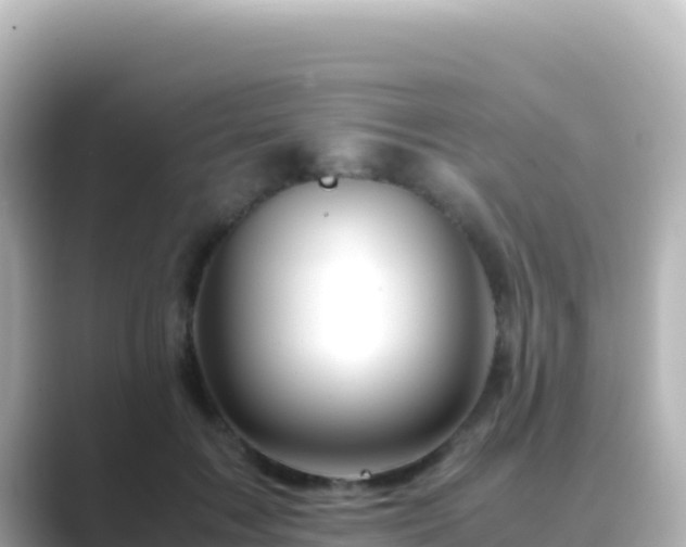 X0000089430603200706221212