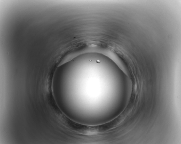 X0000089430604200706221212