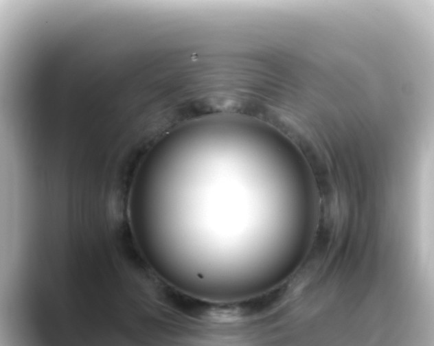 X0000089430606200706221212