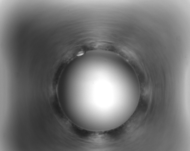 X0000089430607200706221212