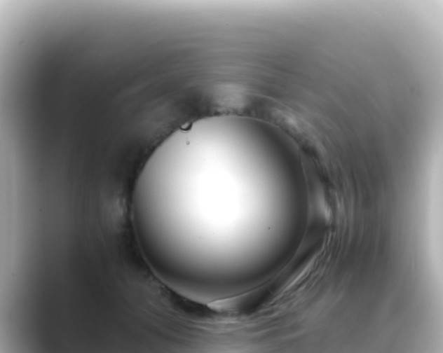 X0000089430608200706221212