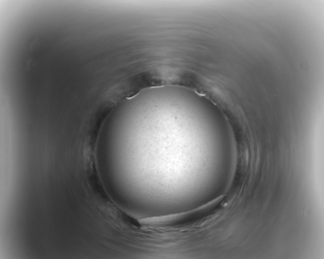 X0000089430609200706221212