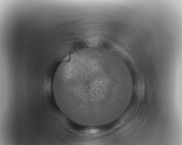 X0000089430610200706221212