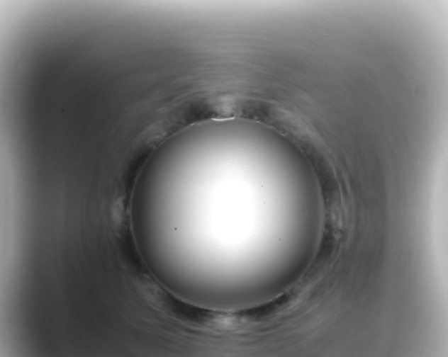 X0000089430611200706221212