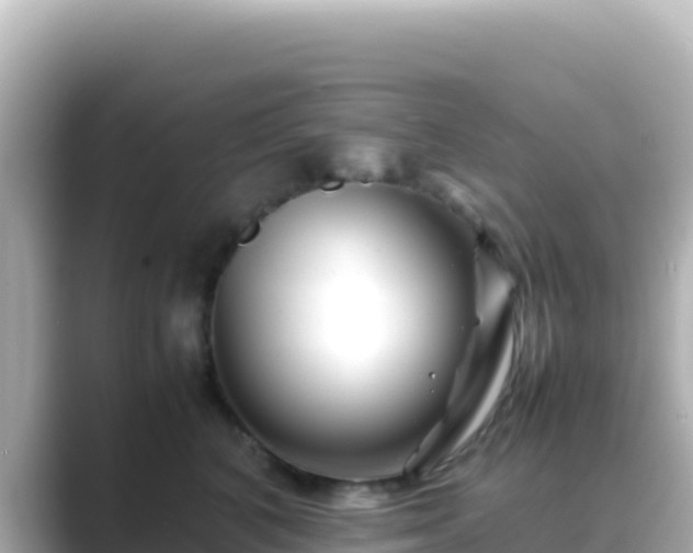 X0000089430616200706221212