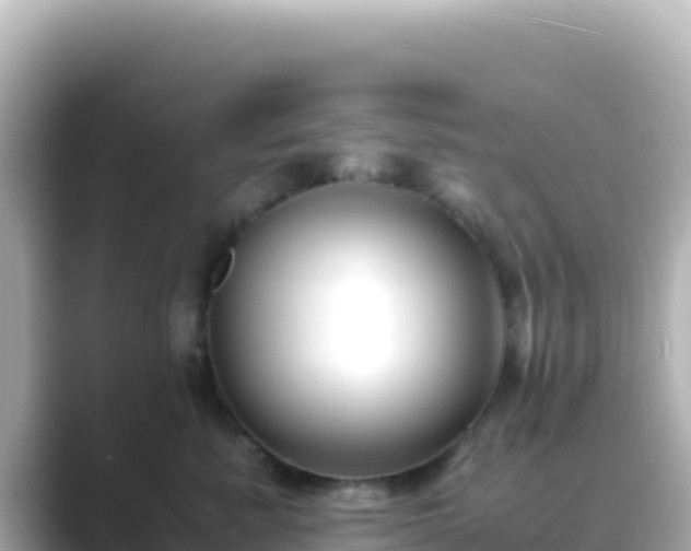 X0000089430619200706221212