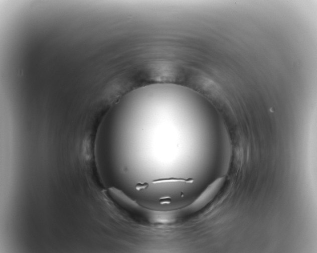 X0000089430620200706221212