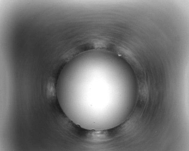 X0000089430622200706221212