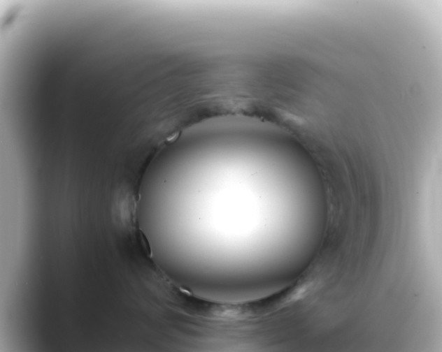 X0000089430624200706221212