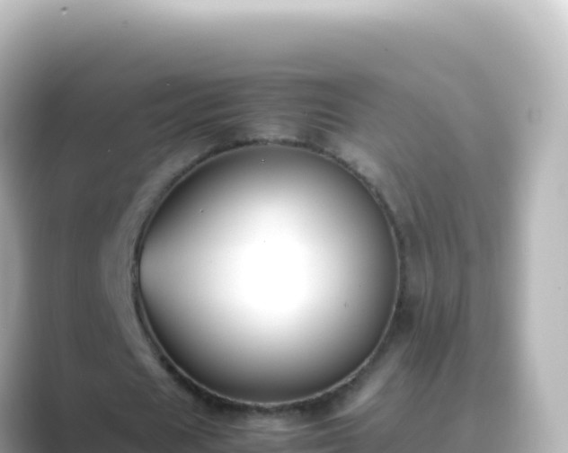 X0000089430625200706221212