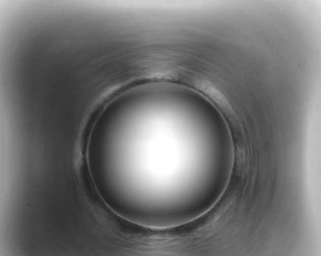 X0000089430628200706221212