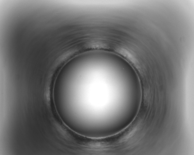 X0000089430629200706221212