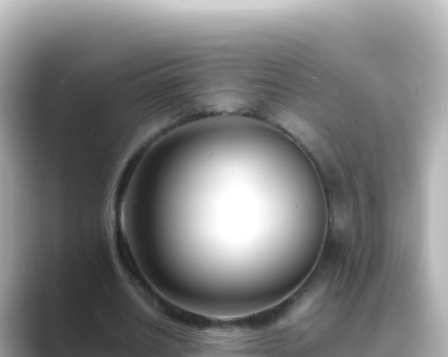 X0000089430630200706221212