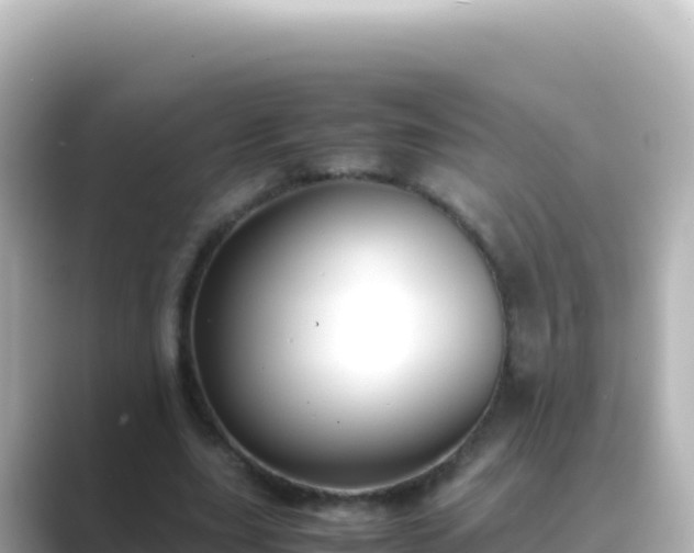 X0000089430631200706221212