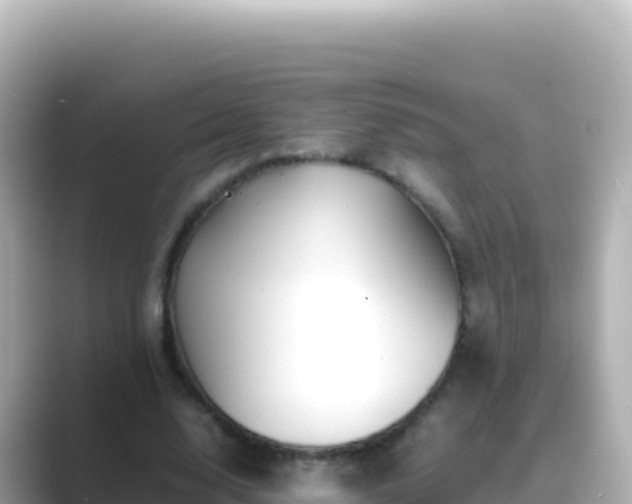 X0000089430632200706221212
