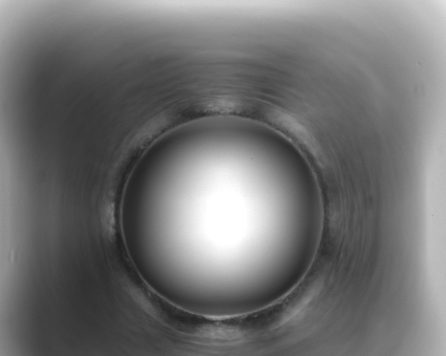 X0000089430633200706221212