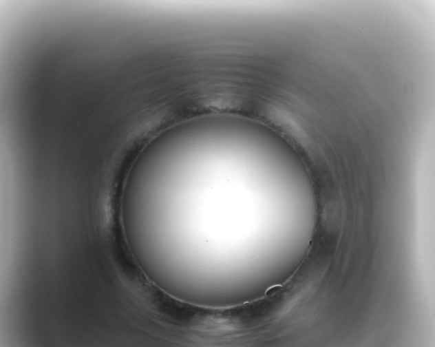 X0000089430635200706221212