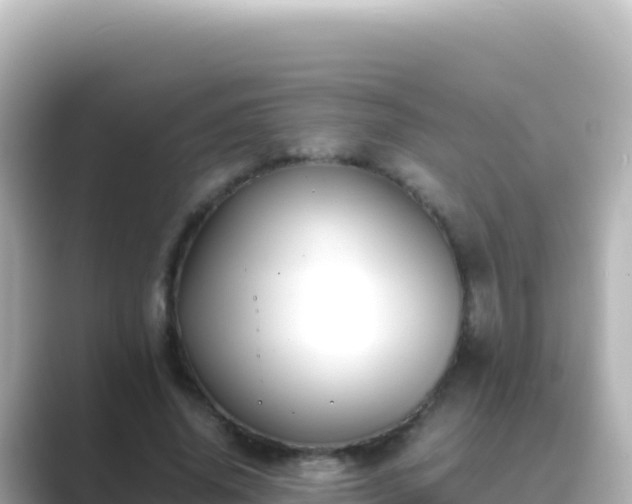 X0000089430636200706221212