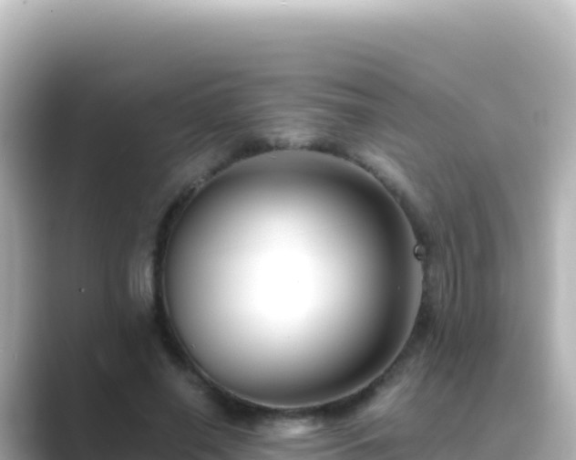 X0000089430638200706221212