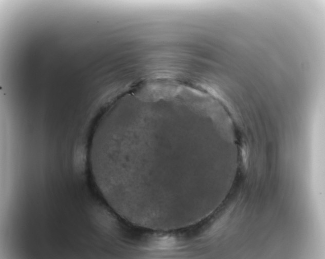 X0000089430640200706221212
