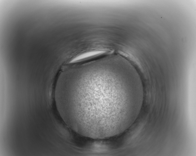 X0000089430641200706221212