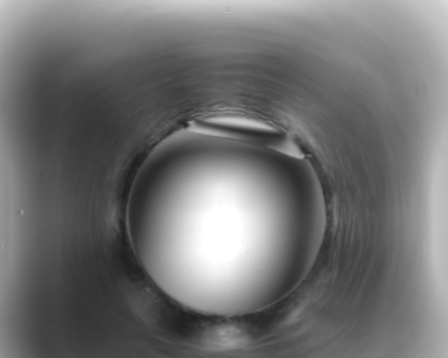 X0000089430643200706221212